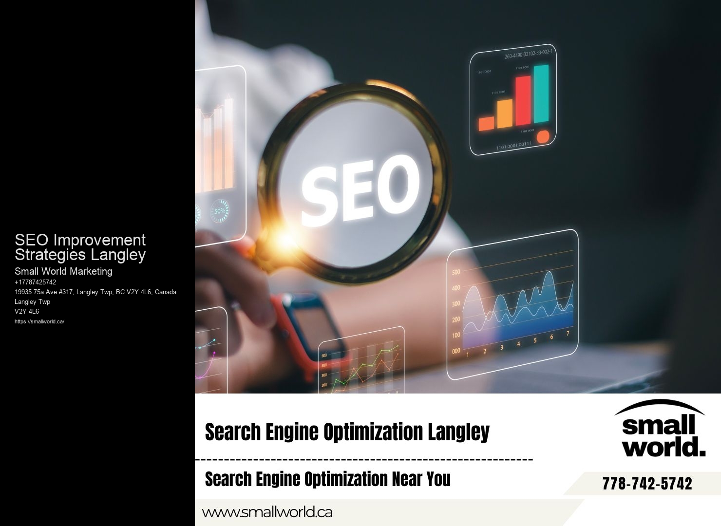 Professional SEO SEO Improvement Strategies Langley