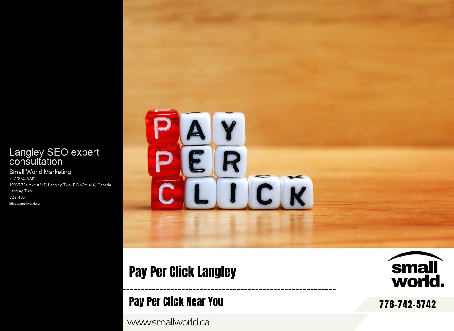 SEO consulting Langley SEO expert consultation