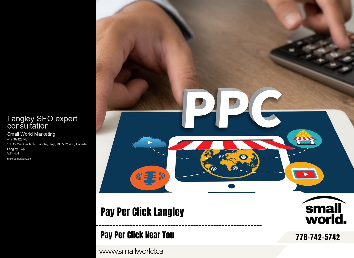 Professional SEO consultants Langley SEO expert consultation