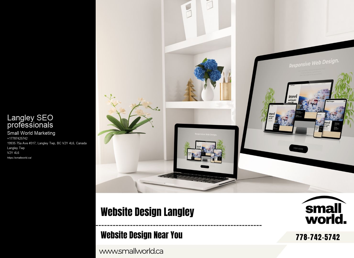 Langley SEO professionals Search Engine Experts